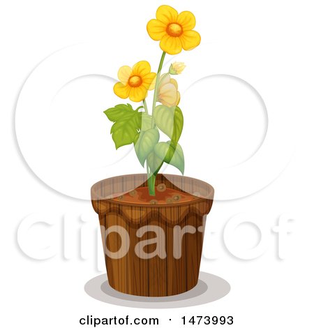 450x470 Royalty Free (Rf) Buttercup Clipart, Illustrations, Vector Graphics