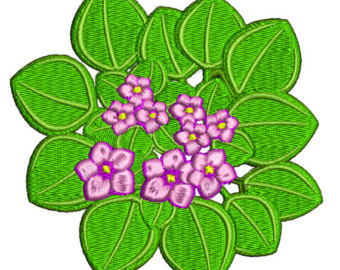 340x270 Buttercup Clipart African Violet