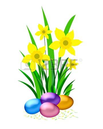 360x450 Buttercup Clipart Narcissus