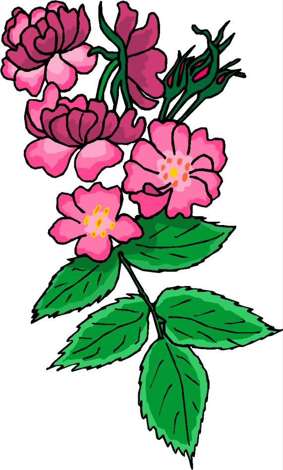 571x948 Flower Vase Clipart