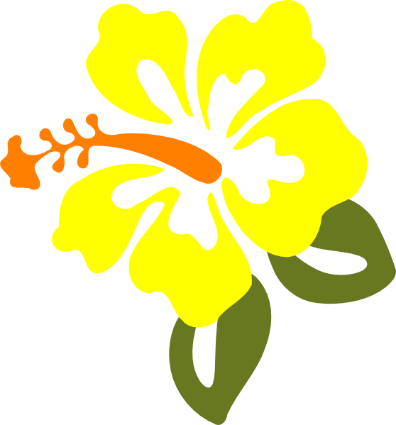 558x599 Buttercup Flower Clip Art