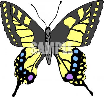 350x325 Swallowtail Butterfly Clipart