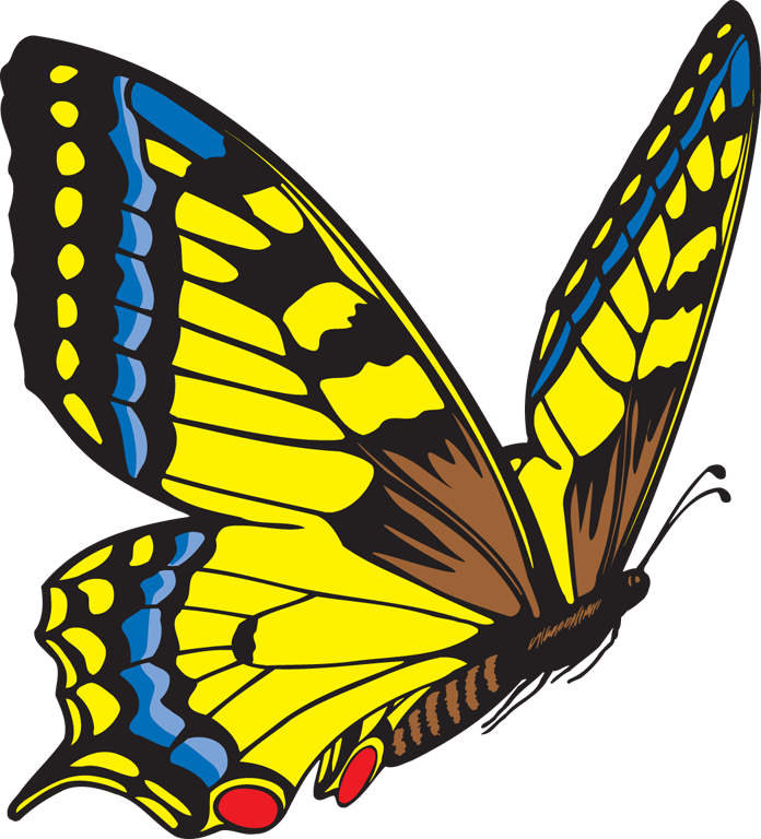 696x768 Yellow Butterfly Clipart Clipart Panda