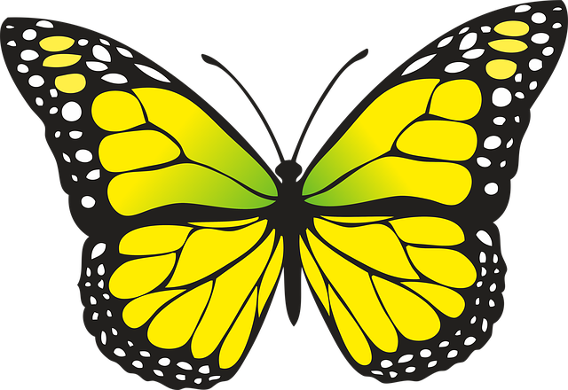 Butterfly Clipart For Kids at GetDrawings | Free download