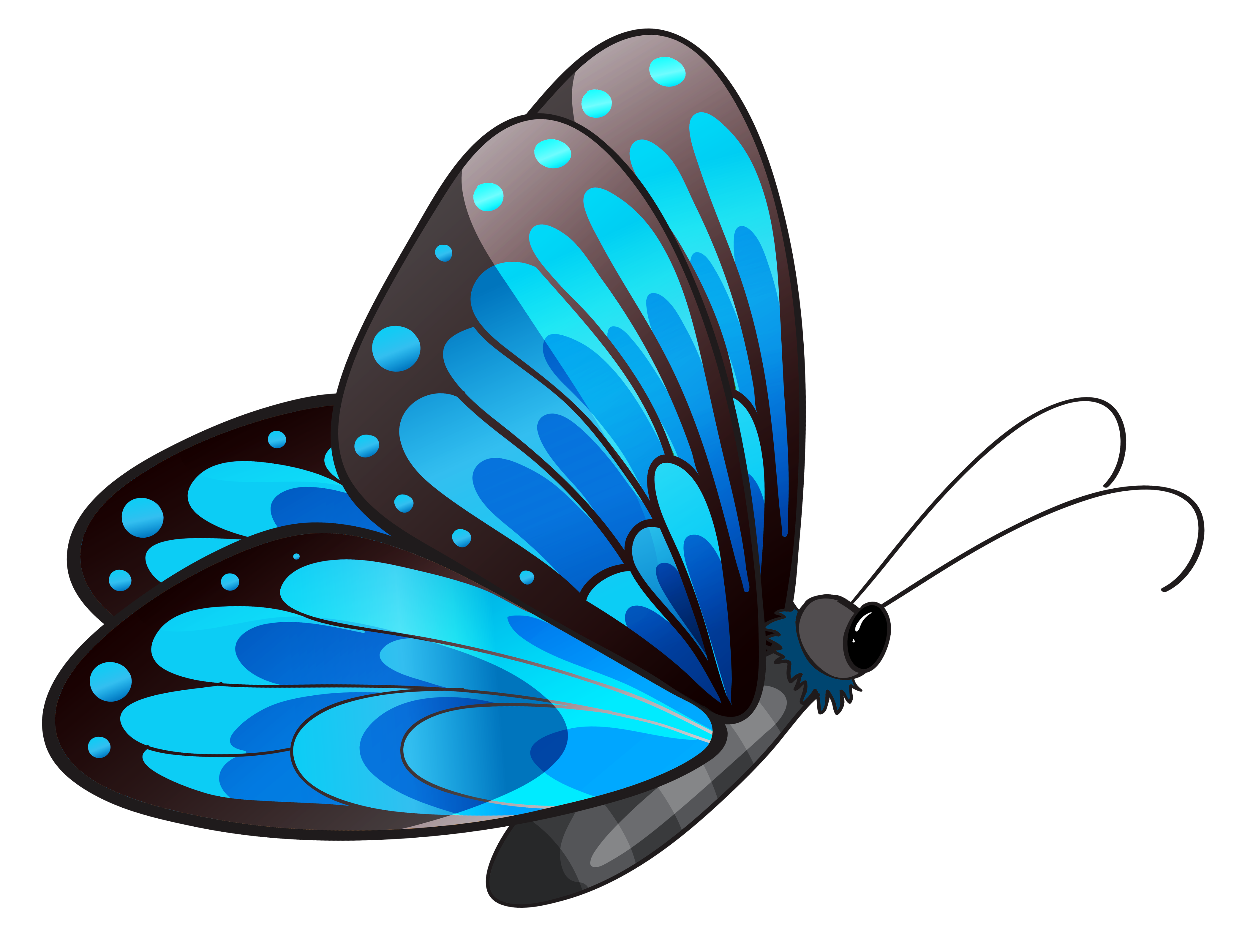 4155x3205 Transparent Blue Butterfly Png Clipartu200b Gallery Yopriceville