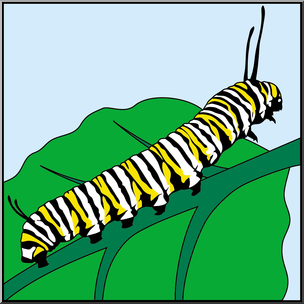 304x304 Clip Art Butterfly Monarch Caterpillar Color I