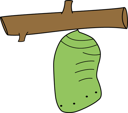 500x439 Free Clipart To Use Mycutegraphics Butterfly Chrysalis