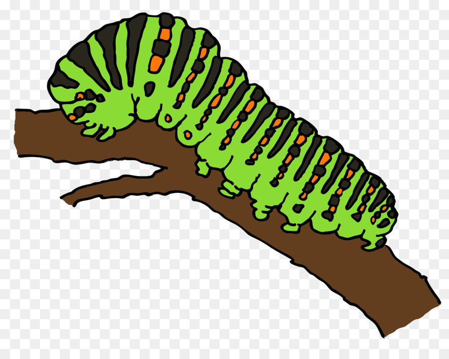 900x720 Worm Caterpillar Marshmallow Kisses Drawing Clip Art