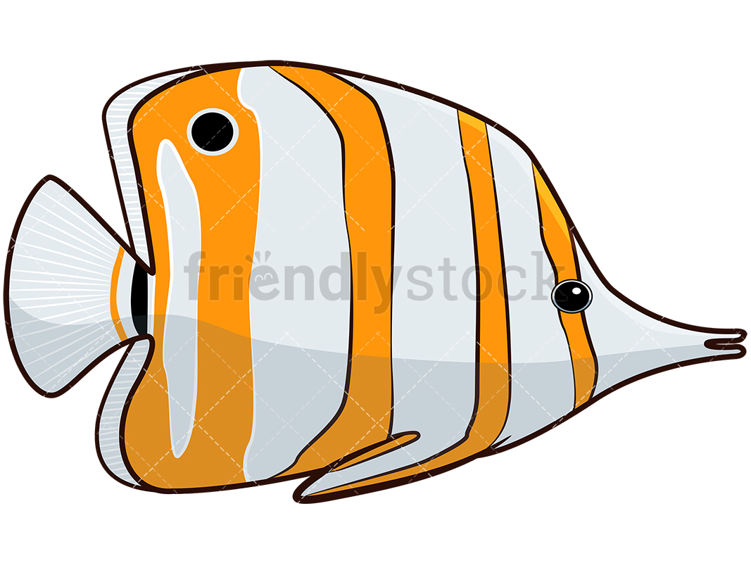 1067x800 Copperband Butterflyfish Cartoon Vector Clipart