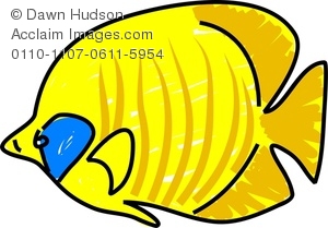 300x209 Acclaim Images