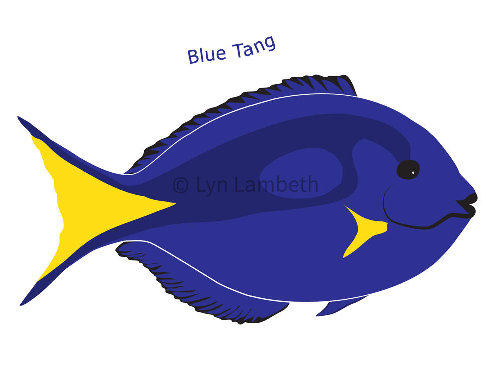 1000x750 Fish Clipart, Instant Download, Reef Clip Art, Fish Digital, Blue