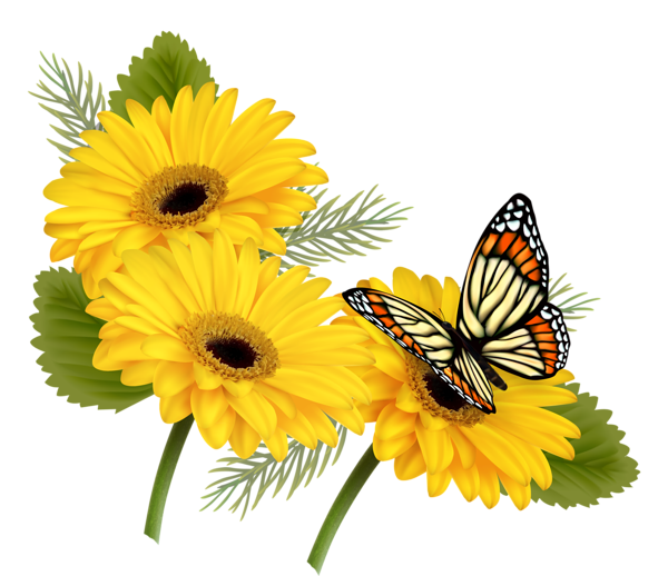 600x518 Yellow Gerberas With Butterfly Png Clipart Mutfak Dekopaj