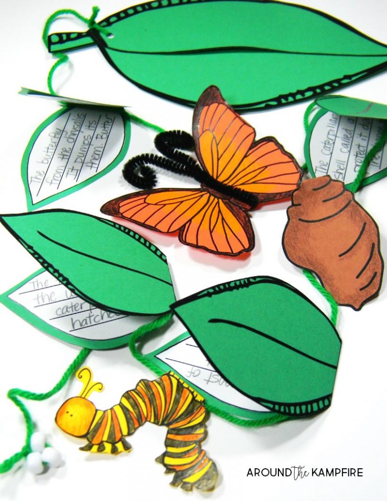 791x1024 Get Butterfly Life Cycle Activities Amp Free Printables For Your