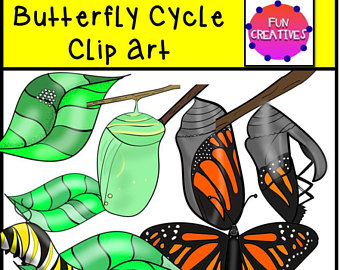 340x270 Monarch Butterfly Life Cycle Mini Quadrama Educational Paper