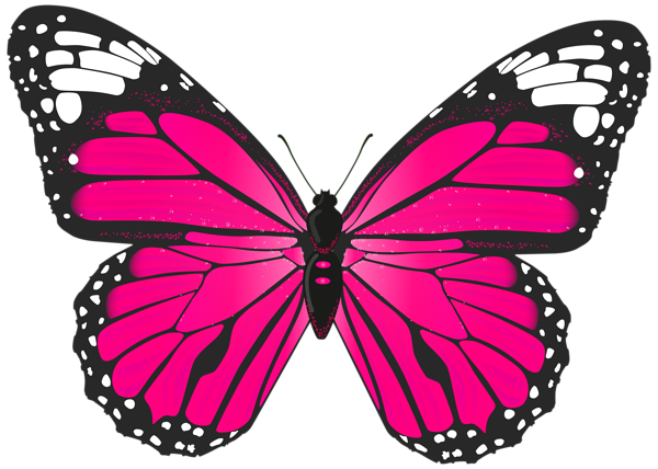 600x428 Pink Butterfly Png Transparent Clip Art Image