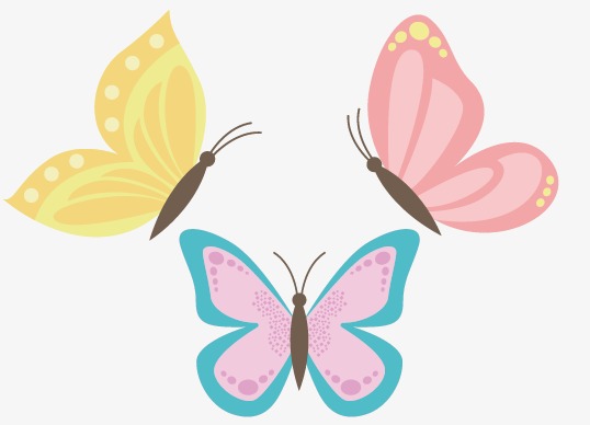 538x388 Colored Insect, Strange Wings, Fly Butterfly, Folding Color Png