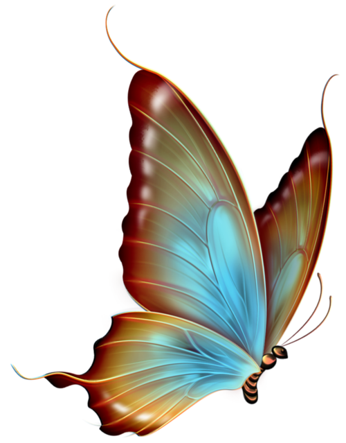 Butterfly Wings Clipart at GetDrawings | Free download