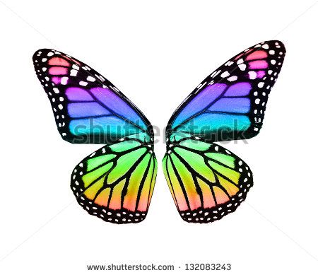 450x389 Lovely Butterfly Wings Clipart