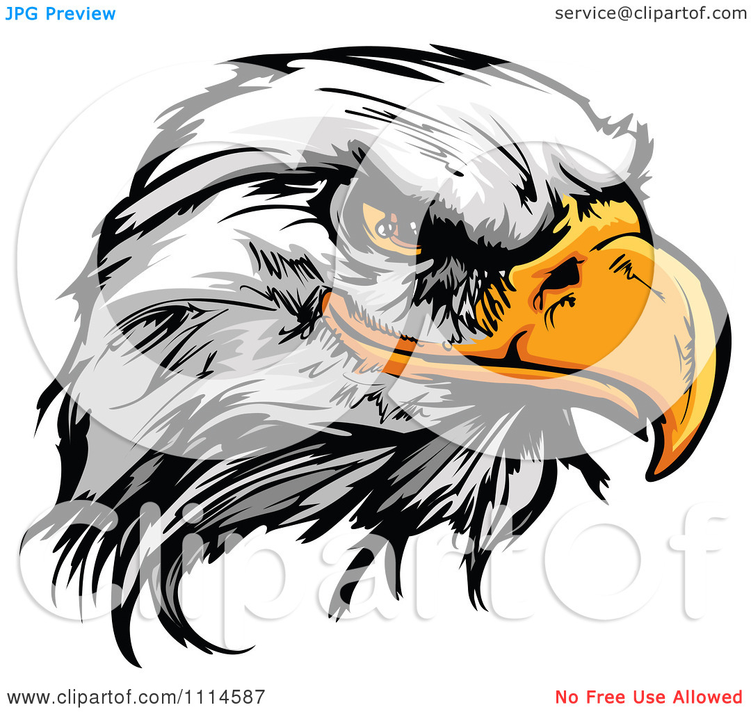 1080x1024 125 Bald Eagle Clipart Clipart Fans