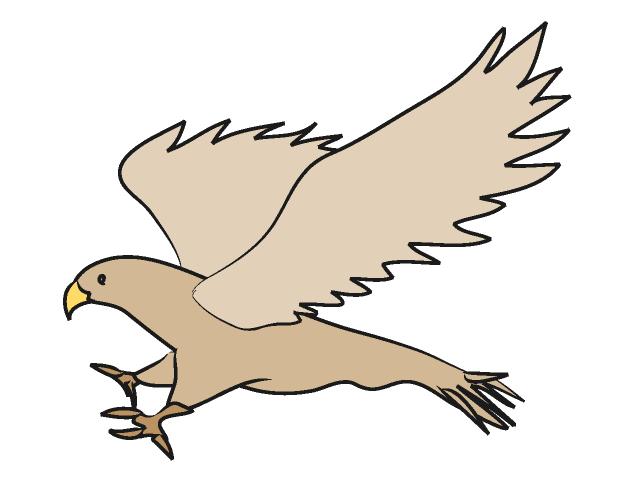 640x480 Top 57 Hawk Clipart