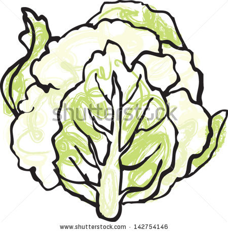 450x458 Cauliflower Clipart Sketch