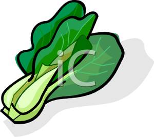 300x267 Chinese Lettuce Clip Art Image