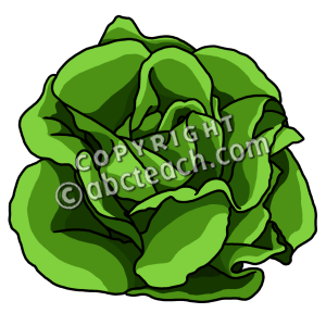 300x300 Clip Art Lettuce Color Clipart Panda