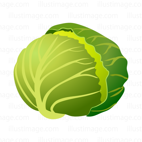 500x500 Free Cabbage Clip Art Cartoon Amp Clipart Amp Graphics [Ii]