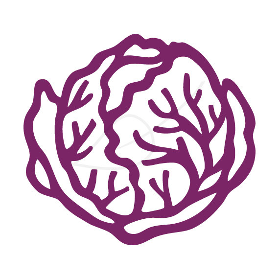 570x570 Red Cabbage Clipart