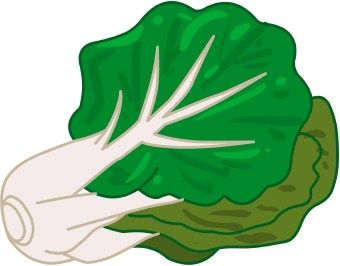 340x266 Cabbage Clipart Clipart0266.jpg D Frutas Y