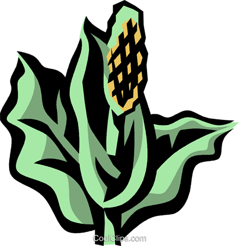467x480 Skunk Cabbage Royalty Free Vector Clip Art Illustration Vc032099