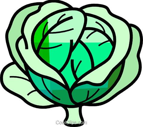 480x424 Cabbage Royalty Free Vector Clip Art Illustration Vc107655
