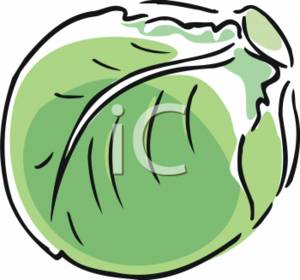300x280 Cabbage 20clipart Clipart Panda