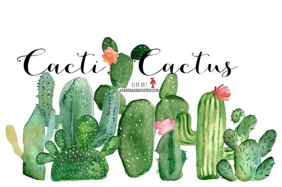 570x379 Cactus Clip Art Hand Painted Clip Art Summer Clip Art