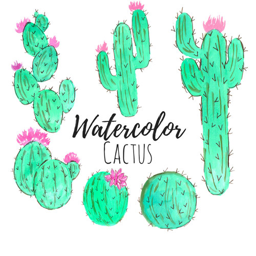 500x500 Watercolor Cactus Clip Art Floral Clip Art Watercolor Art