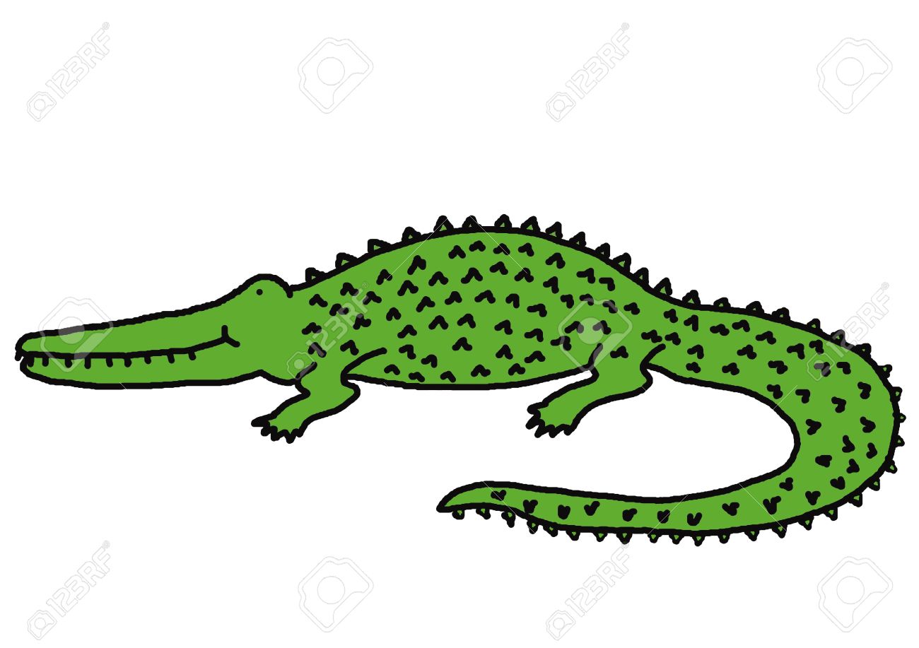 1300x917 Collection Of Crocodile Drawing Color High Quality, Free