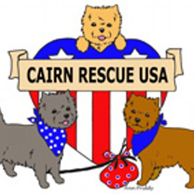 400x400 Cairn Rescue Usa (@cairnrescueusa) Twitter