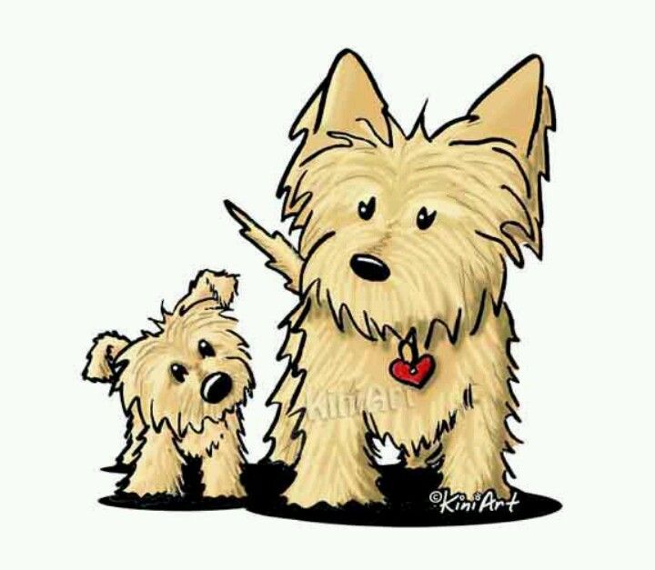 720x627 Kini Art Yorkies Cairn Terriers, Dog And Westies