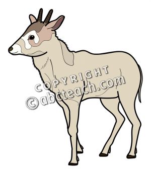 300x350 Clip Art Baby Animals Clipart Panda