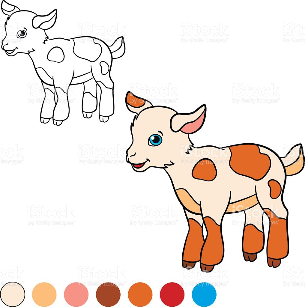 1017x1024 Goat Clipart Little