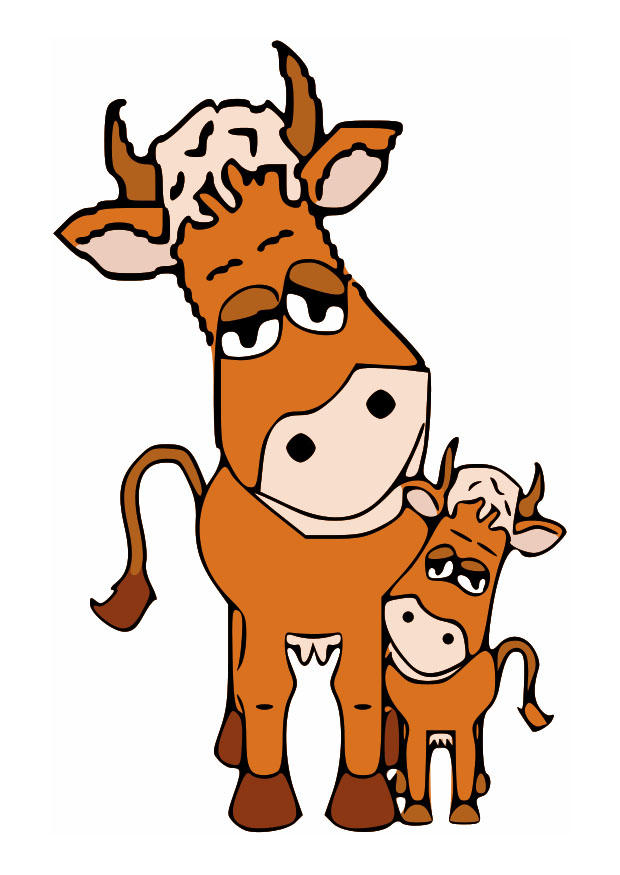 620x875 Image Mother Cow And Calf