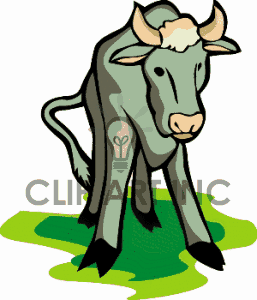 257x300 Calf Cow00011.gif Clip Art Clipart Panda