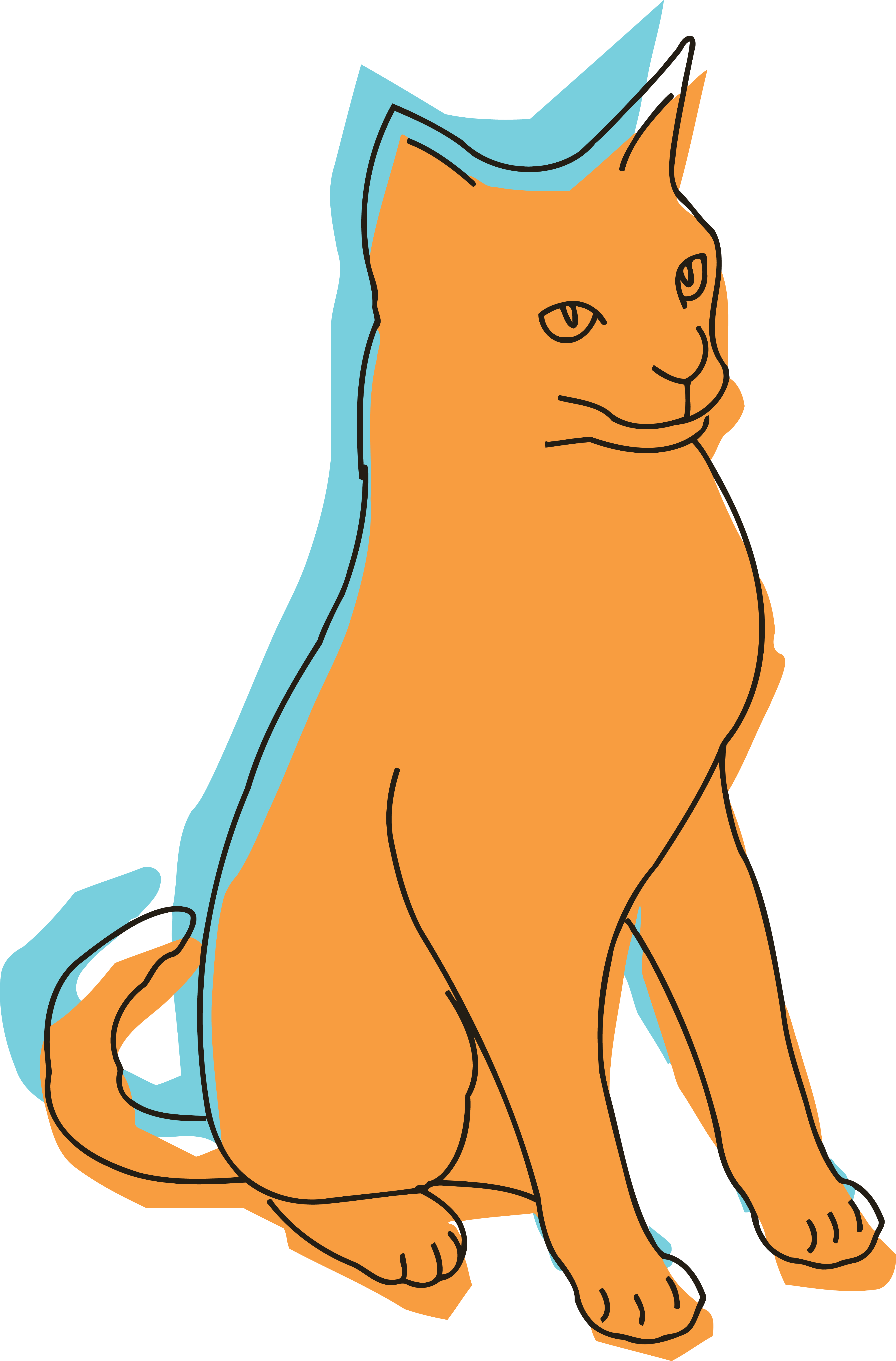 4000x6077 Free Clipart Of A Sitting Blue And Orange Cat