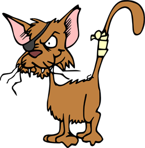 294x299 Cat Png Images, Icon, Cliparts