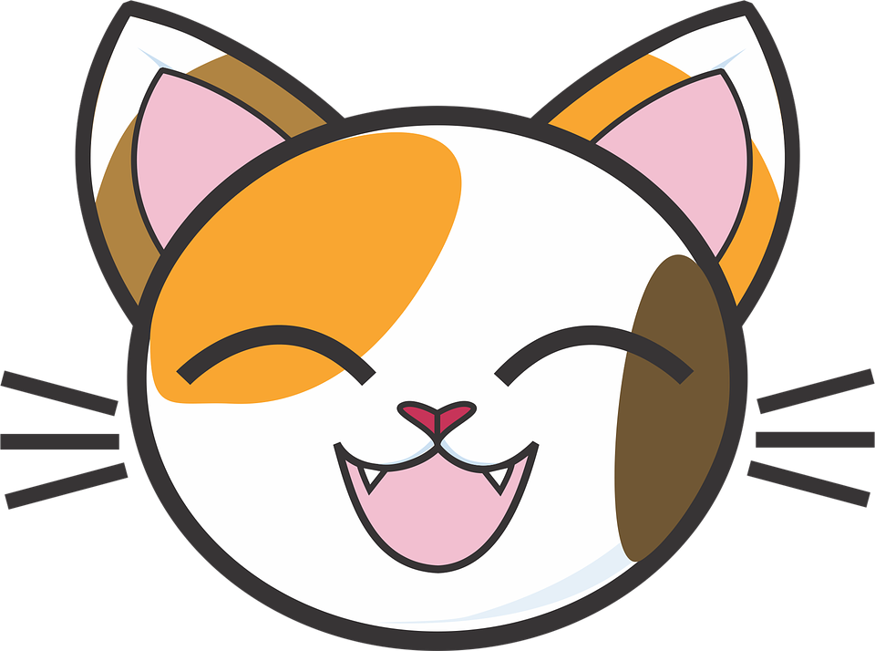 960x714 Calico Cat Face