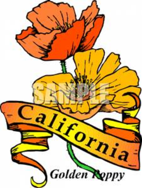 452x600 Clip Art Ca Poppies California Poppy Clip Art The Golden Poppy