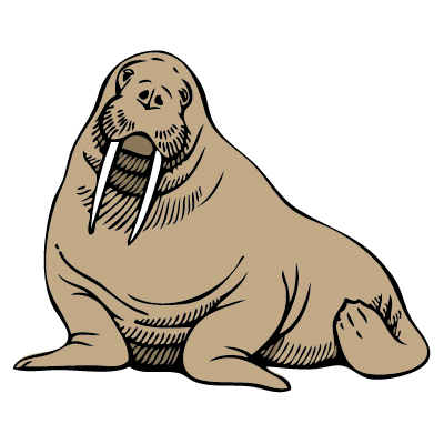 400x400 Walrus Clip Art