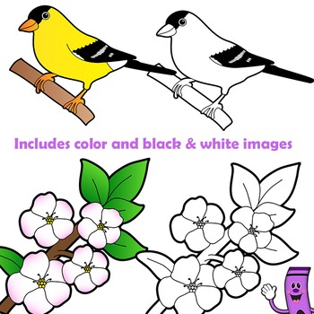 350x350 Us State Birds And Us State Flowers Clip Art Bundle By Dancing