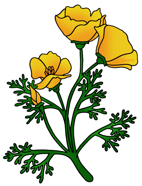 496x648 United States Clip Art By Phillip Martin, California State Flower