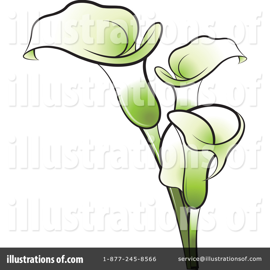 1024x1024 Calla Clipart